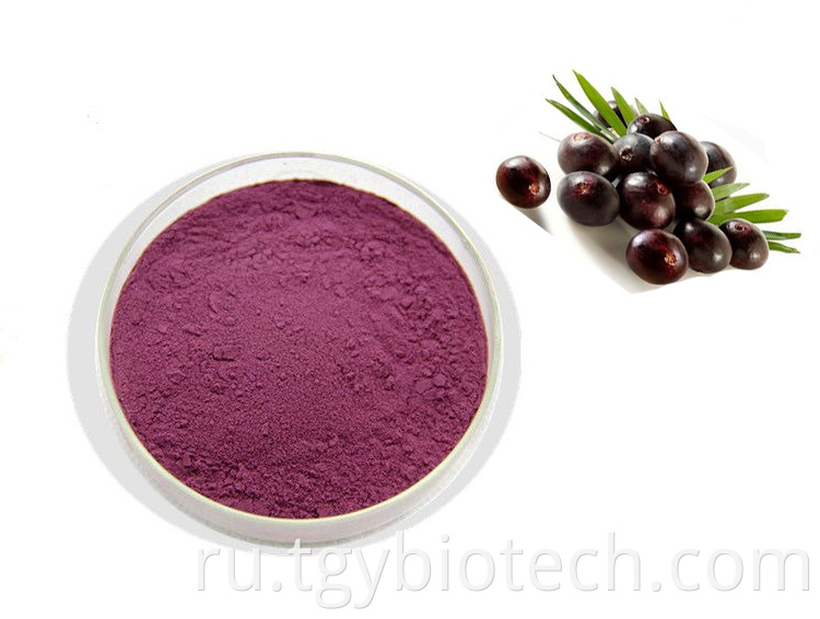 Maqui Berry Extract